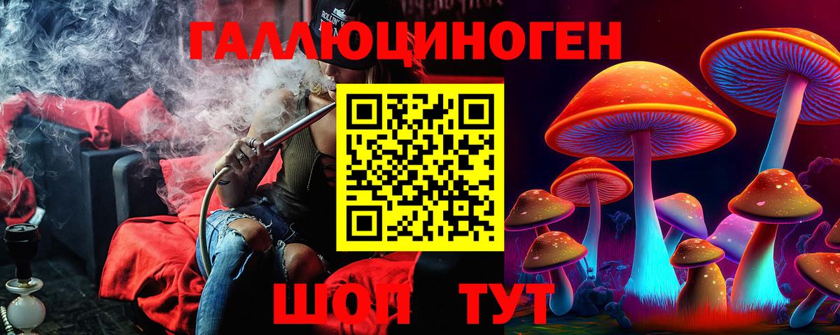 Галлюциногенные грибы Psilocybine cubensis Азнакаево