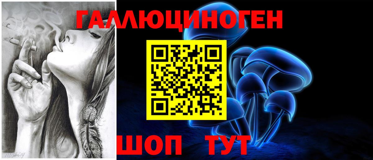 Азнакаево  Псилоцибиновые грибы Psilocybine cubensis  Вход с VPN 